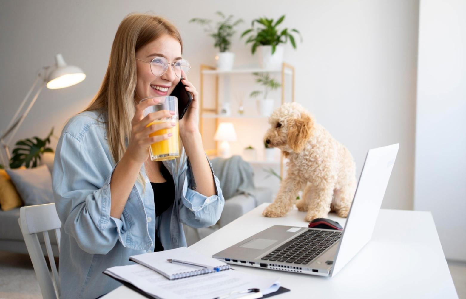 Lisoravionex Bildungsplattform